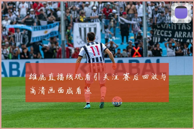 雄鹿直播线观看引关注 赛后回放与高清画面成看点