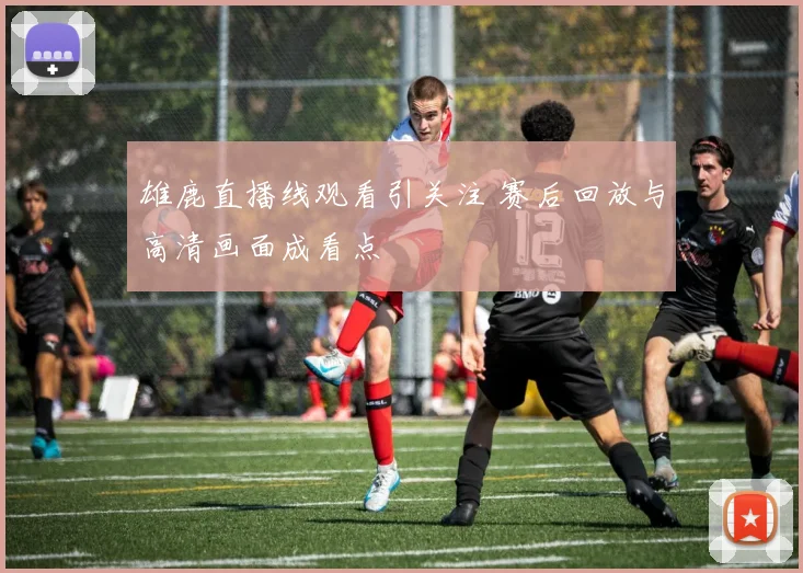 雄鹿直播线观看引关注 赛后回放与高清画面成看点