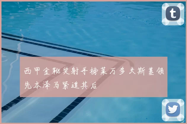 西甲金靴奖射手榜莱万多夫斯基领先本泽马紧追其后