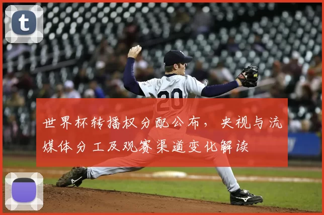 世界杯转播权分配公布，央视与流媒体分工及观赛渠道变化解读